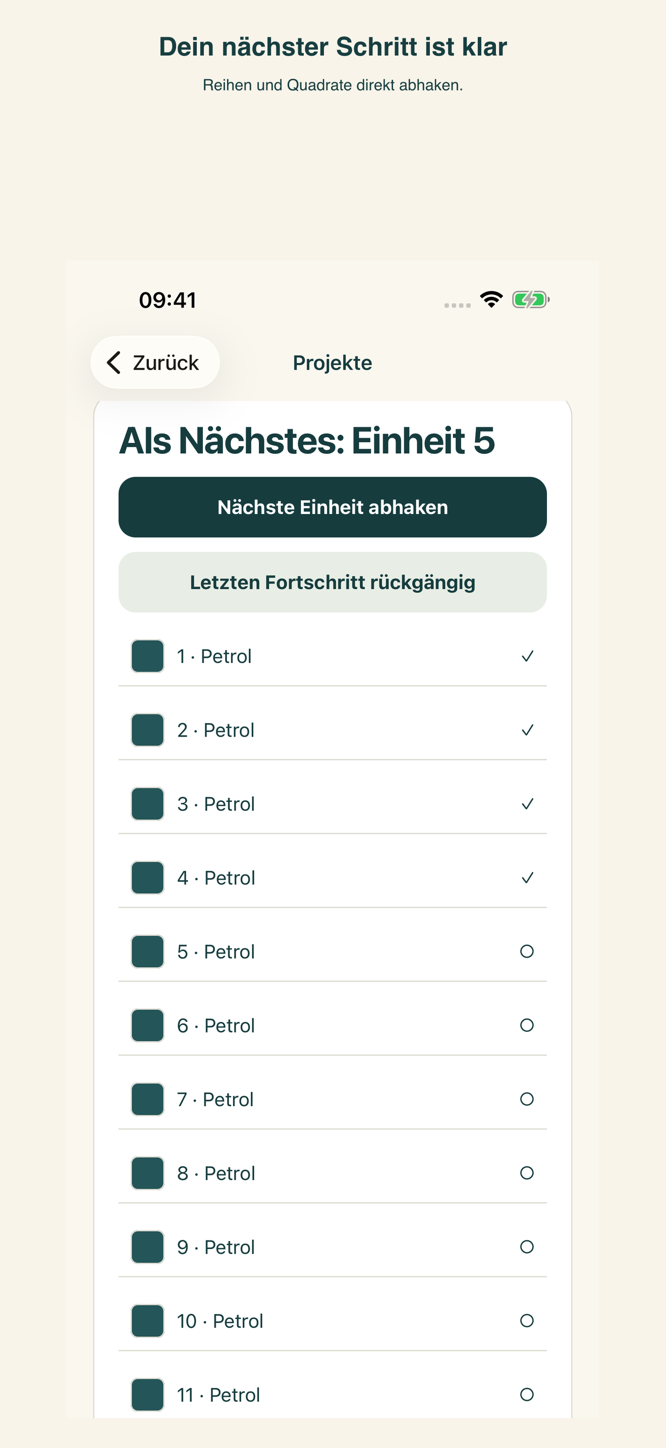 SkeinCheck – iPhone Screenshot 6